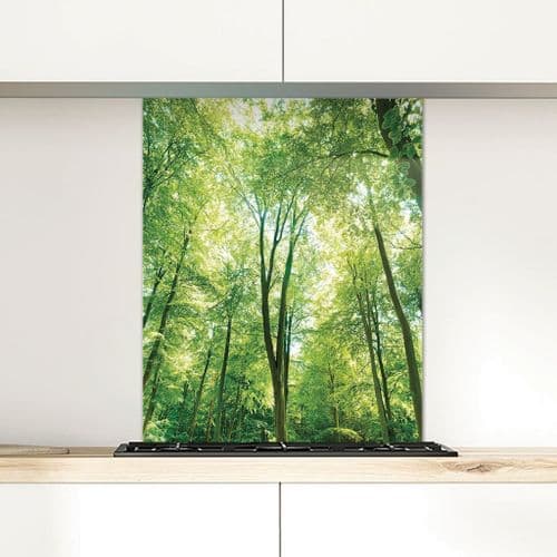 Spring Beeches - Glass Splashback