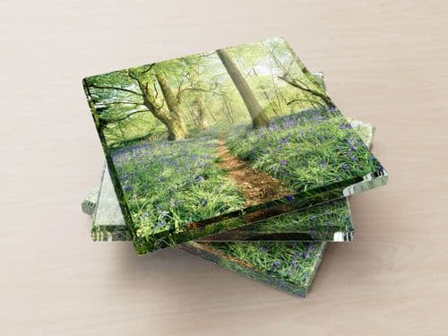 Thursford Wood, Norfolk - Glass Coasters