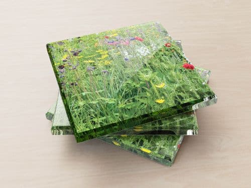 Wildflowers - Glass Coasters