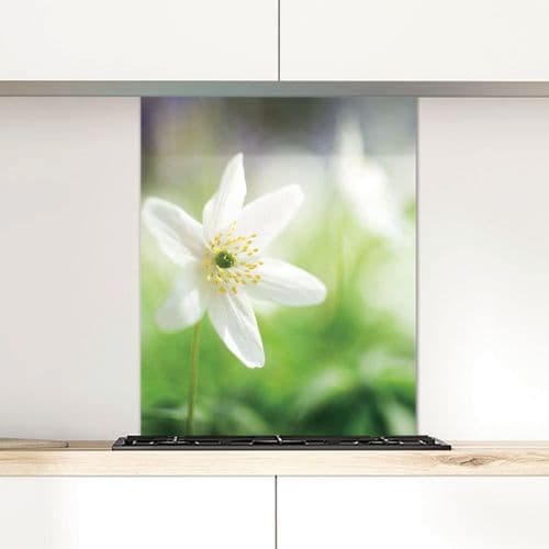 Wood Anemone - Glass Splashback
