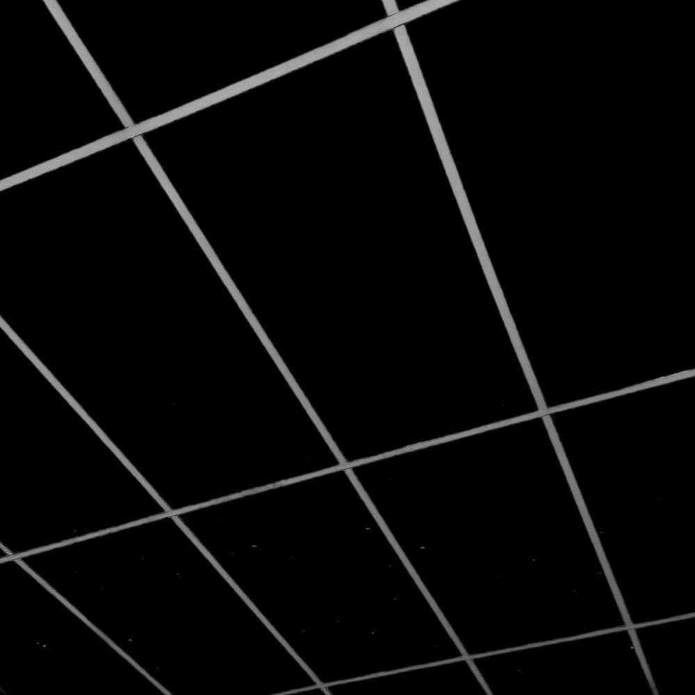 455849_3 455849_3