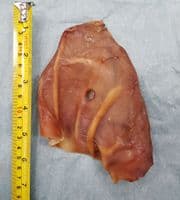 25 x  Air Dried Pig Ears