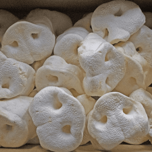 25 x Puffed Pig Snouts Dog Treat