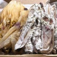 30  Mixed Rabbit Ears (15 hairless & 15 Furry)