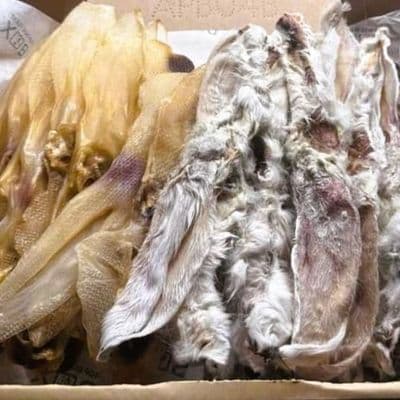 30  Mixed Rabbit Ears (15 hairless & 15 Furry)