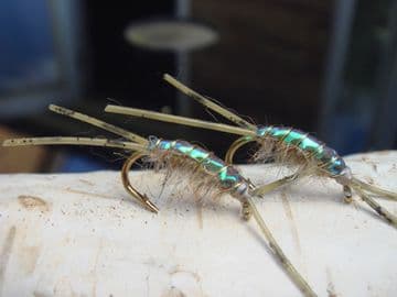 Luke's Favourite Big Peacock Backed Mud Shrimp