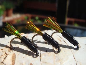 Luke's Favourite Black Firetiger Tailed Gater Bug