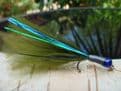 Martyn's  Blue Flash Heavy Stalking Damsel Firebird