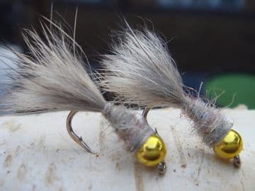 Martyn's Deadly Big Gold Headed Natural Hare's Ear Bug