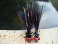 Martyn's Deadly Mini Twin Eyed Red Flash Black Damsel
