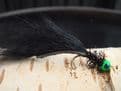 Martyn's Favourite Black and Green Headed Leech