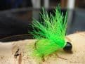 Martyn's Favourite Black and Intense Lime  Leech