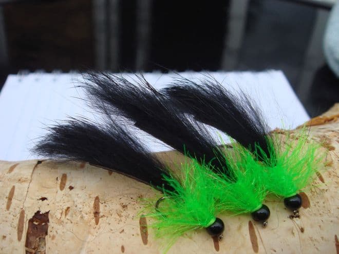 Martyn's Favourite Black and Intense Lime Leech