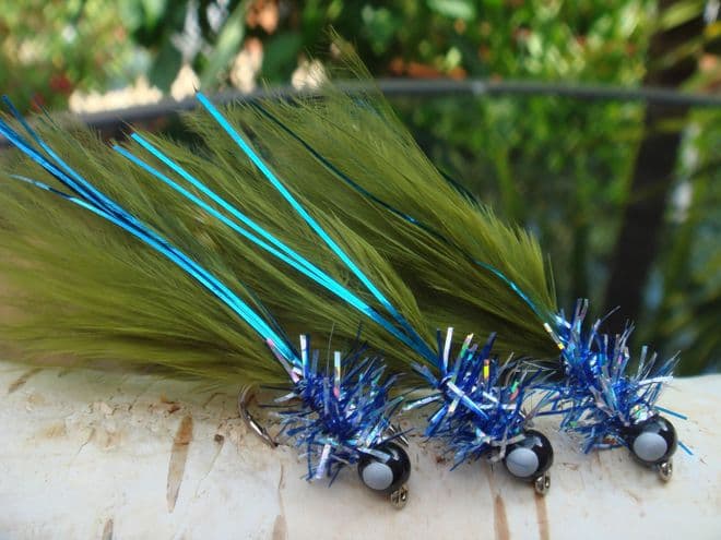 Martyn's Favourite Blue Flash Dark Olive Silver Eyed Long Tailed Damsel