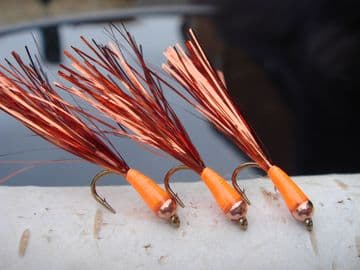 Martyn's Favourite Copper and Orange Stalking Bugs