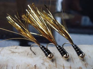 Martyn's Favourite Heavy Black and Gold Stalking Bugs