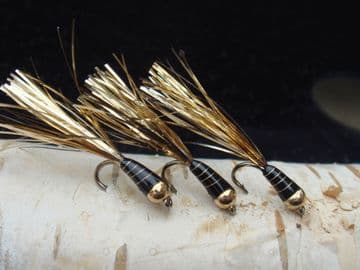Martyn's Favourite MIni Black and Gold Stalking Bug