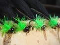 Martyn's Favourite Mini Black and Green  Leech Set
