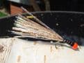 Martyn's Hot Headed Fishfry Tailed Long Cast Specials - SET OF  4