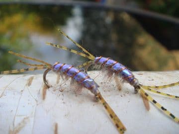 Martyn's Mullet Special,  Blue UV  Backed  Dirty Mud Shrimp