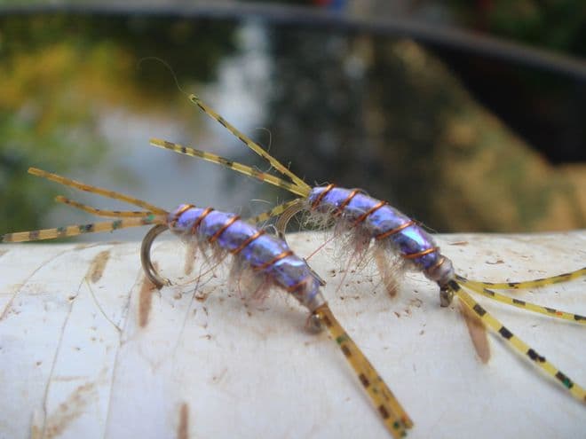 Martyn's Mullet Special,  Blue UV  Backed  Dirty Mud Shrimp