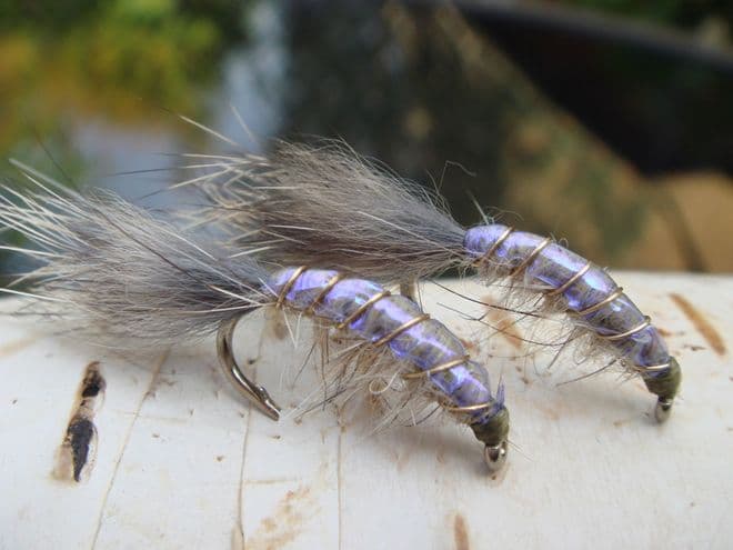 Martyn's Mullet Special,  Natural UV Mud Shrimp