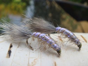 Martyn's Mullet Special, Natural UV Mud Shrimp