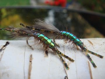Martyn's Mullet Special,  Peacock  Backed Mud Shrimp