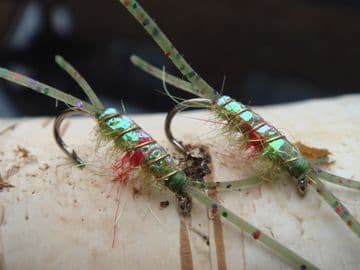 Martyn's Mullet Special, Pearl Backed Olive Hot Spot Mud Shrimp