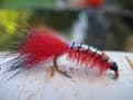 Martyn's Mullet Special,  Pearl Backed Red Shrimp