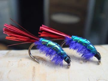 Martyn's Mullet Special, Purple and Red Spectra Shrimp