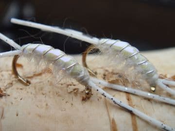 Martyn's Mullet Special,  UV  Backed White Mud Shrimp