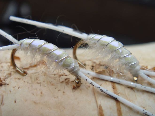 Martyn's Mullet Special,  UV  Backed White Mud Shrimp