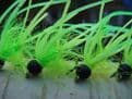 Martyn's New and Deadly Flexi Long Cast - Set 15/ Chartreuse and Fluorescent Green