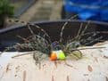 Martyn's New and Deadly Flexi Long Cast - Set 17/ Mixed Olive