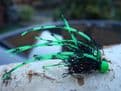 Martyn's New and Deadly Flexi Long Cast - Set 23/Black and Barred Green