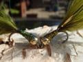 Martyn's Ultimate Gold Headed Damsel Set