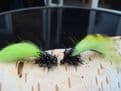 Martyn's Ultimate Green and Black  Leech Set