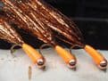 Martyn's Ultimate  Hi-Viz Copper and  Orange Long Cast Specials - SET OF 5