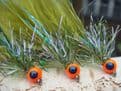 Martyn's Ultimate Hot Headed Blue Flash Damsel.