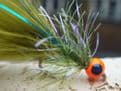 Martyn's Ultimate Hot Headed Blue Flash Damsel.