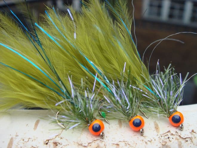Martyn's Ultimate Hot Headed Blue Flash Damsel.