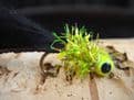 Martyn's Ultimate Hot Headed Holographic Straggle Bodied Black Leech Set