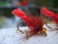 Martyns Red Tag Mullet Special