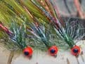 Rockbourne Special Ultimate Red Flash Damsel