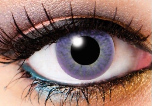 One Tone Violet Contacts - 90 Day