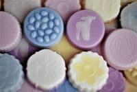 10 Pack Wax Melt T, Soap Making Mould Tray, EASTER. S7836