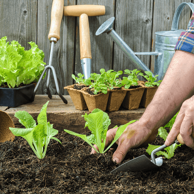 Gardening