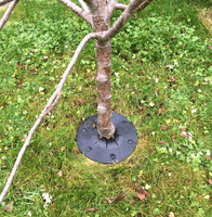 Tree/Shrub Protector Collar.   X8139