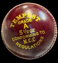 C&M Tempest 5.5oz Cricket Ball